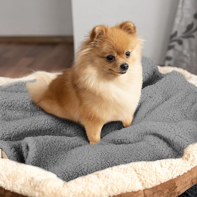 furrybaby Dog Blankets for Small Dogs, Puppy Small Fleece Blankets for Pets, Premium Cat Blanket, Sherpa Pet Blanket Washable for Pet Kitten Doggy (Grey, 24x32 in, S)