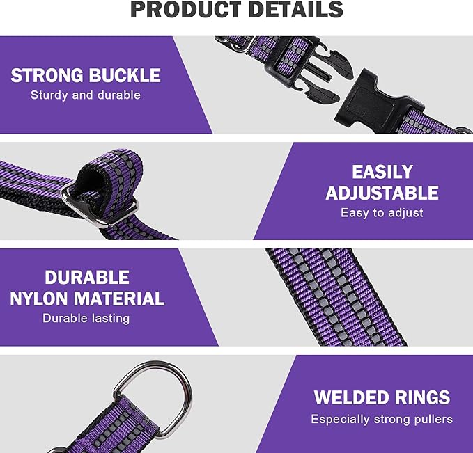 Hikiko Martingale Collar for Dogs Reflective Nylon Dog Collar with Quick Release Buckle Adjustable Training No Slip Dog Collar (Large, Purple)