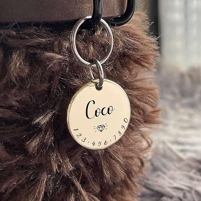 Cats Dogs ID Tags Personalized Lovely Symbols Pets Collar Name Accessories Simple Custom Engraved Products for Medium Four Legged Child Necklace Chain Anti-Lost Shiny Stainless Steel 316L Charm