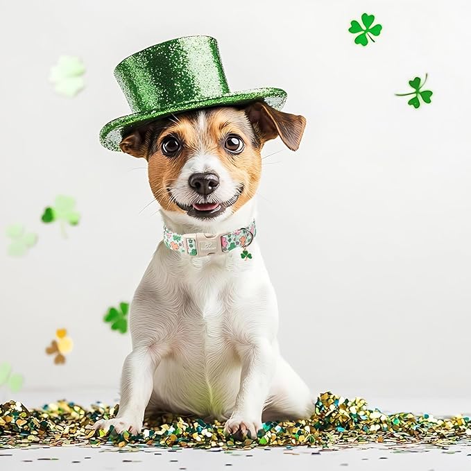 St Patricks Day Dog Collar for Medium Dogs - Cute Pastel Lucky Clover Dog Collars, Lightweight Adjustable Irish Green Festival Dogs Collars with Quick Release Buckle M