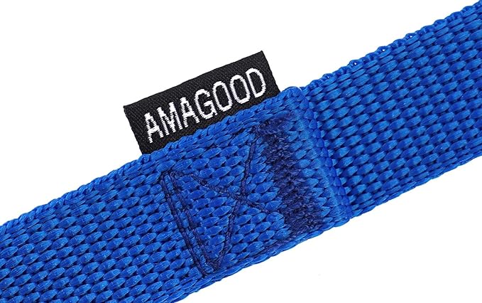 AmaGood Dog/Puppy Obedience Recall Training Agility Lead-15 ft 20 ft 30 ft 50 ft Long Leash-for Dog Training,Tie Out,Play,Safety,Camping (30 feet, Blue)