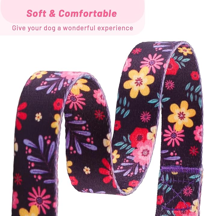 QQPETS Adjustable Soft Dog Collar: Print Flower Pink Multicolor Cute Patterns for XS Small Medium Large Pet Girl Boy Puppy Walking Running Training (M, Elegant Purple)