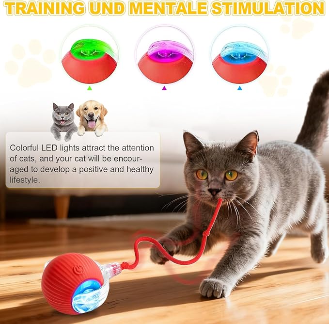 Interactive Cat Toys Ball for Indoor Cats＆Dogs,Automatic Cat Toy 360° Auto-Rotation Smart Obstacle Avoidance,Includes 4 Cat Spiral Spring,Cat Enrichment Toys for Indoor Cats (Red)