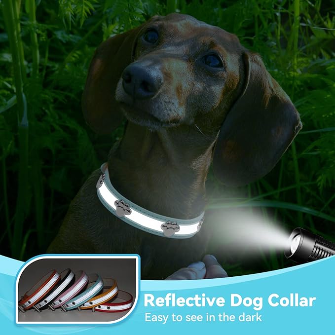 PETCARE Reflective Dog Collar with Cute Paw Rivet Studded Funny Soft PU Leather Adjustable Puppy Dog Collars for Small Medium Large Dogs Cats (Blue,Small)