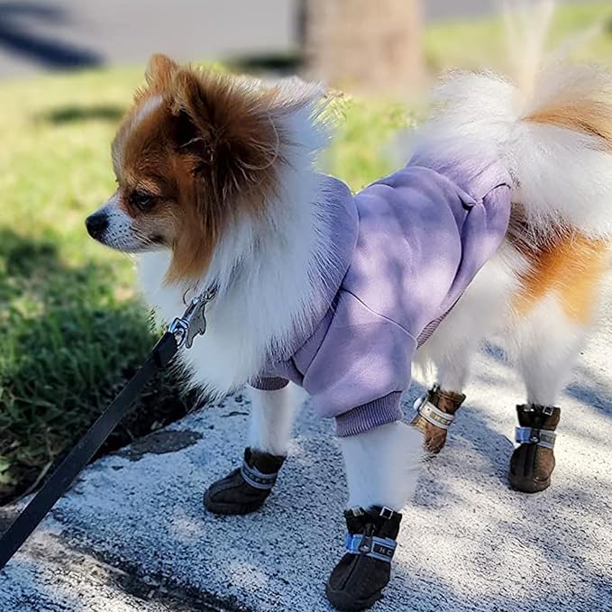 Jecikelon Winter Dog Hoodie Sweatshirts with Pockets Warm Dog Clothes for Small Dogs Chihuahua Coat Clothing Puppy Cat Custume (Purple, Medium)