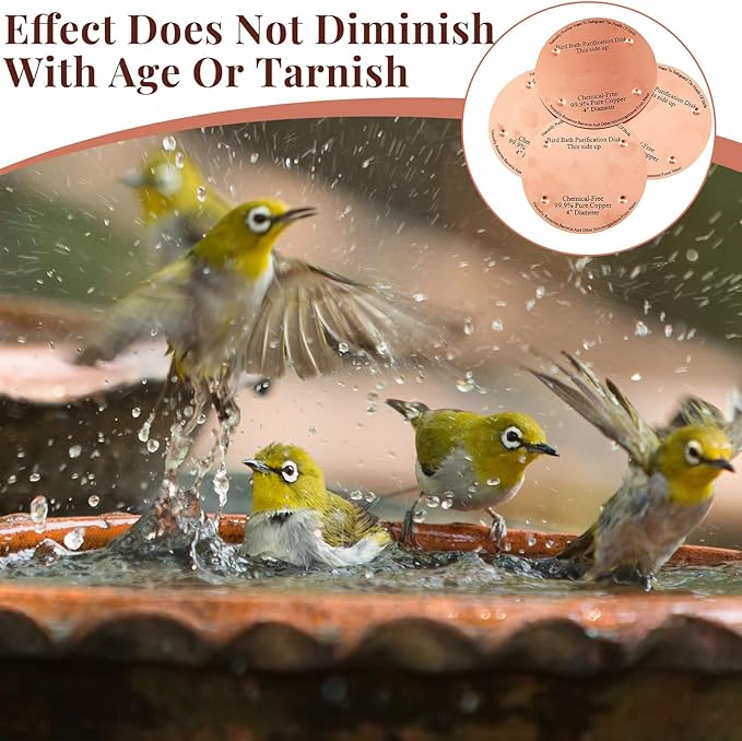8 Pcs Bird Bath Copper Disk, 0.6mm Thick Reinforced 99.99% Pure Copper Birdbath Purification Disk, with 4 Point Support for Outdoor Birdbaths Bowls Cleaner, 4 Inch (Classic)