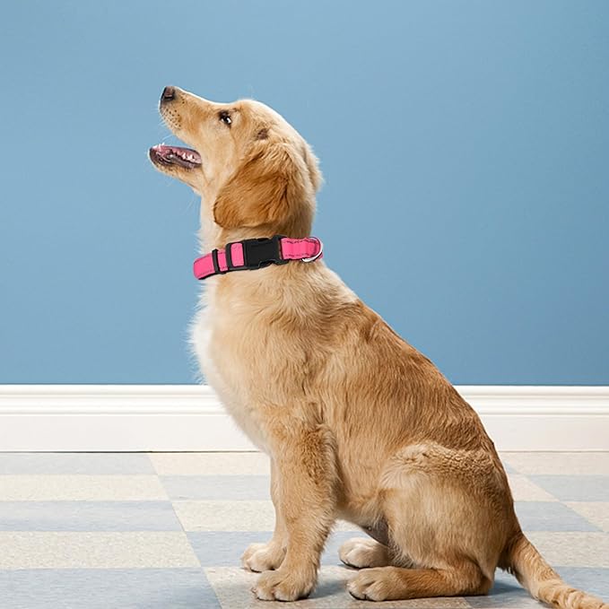 Reflective Dog Collar, Adjustable Soft Neoprene Padded Nylon Pet Collars with Buckle for Extra Large Dogs, Hotpink,XL