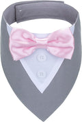 ADOGGYGO Formal Dog Tuxedo Wedding Pet Bandana Collar with Bowtie, Adjustable Birthday Wedding Formal Tux Costumes for X-Small Pets (XS, Grey)