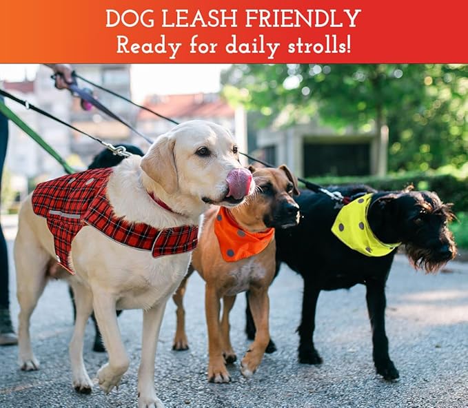 SPOT THE DOG! Reflective Dog Collar - Adjustable Pet Collars, Safe, Durable, Comfortable Dog Walking Accessories for Large Dog, Hunting Dog, Puppy, Boy, Girl Dog Collars (Blaze Orange, Red Plaid, L)
