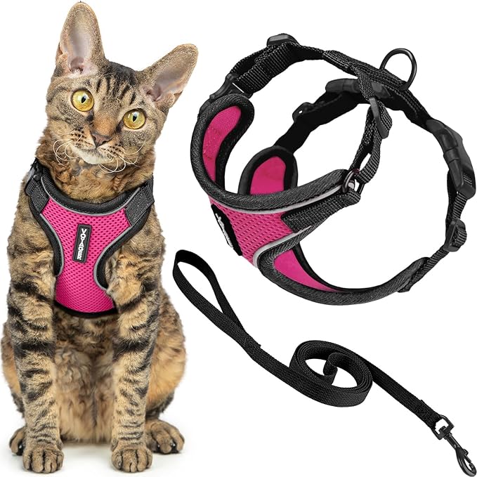 Voyager Escape-Proof Step-in Lock Cat Harness & 5ft Neoprene-Handle Leash Set All-Weather Mesh with Reflective Stitching for Small to Large Cats by Best Pet Supplies, Black Trim-Fuchsia (327), XS