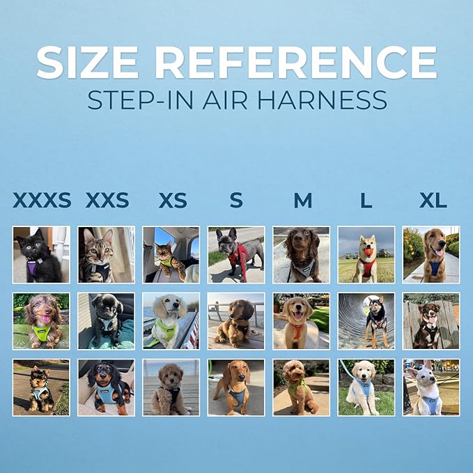 Best Pet Supplies Voyager Step-in Air Harness - All Weather Mesh, Reflective, No Pull Harness for Dogs, Cats - Secure with Hook & Loop Fastener, Buckle, Double D-Rings - Moss Green, XL