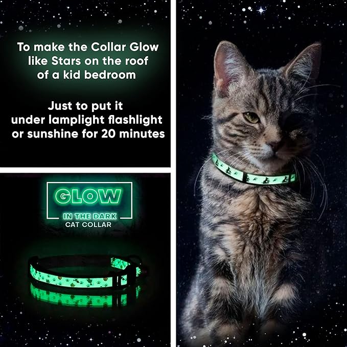 Pawtitas Glow in The Dark Cat Collar with Breakaway Safety Buckle & Bell Adjustable Kitten Collar, Teal
