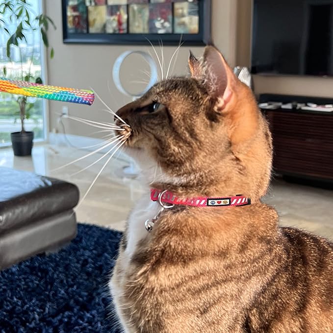 Pawtitas Personalized Pink Reflective Cat Collar – Adjustable Custom Collar with Safety Buckle, Removable Bell, and Engraved Name & Phone Number for Kittens and Adult Cats