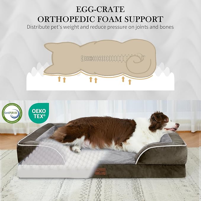 Comfort Expression Orthopedic Dog Bed for Medium Dogs 30x20 Inch, Waterproof Egg Crate Foam Medium Pet Bed with Removable Bolsters, Dog Couch with Washable Cover & Non-Slip Bottom, Dark Green