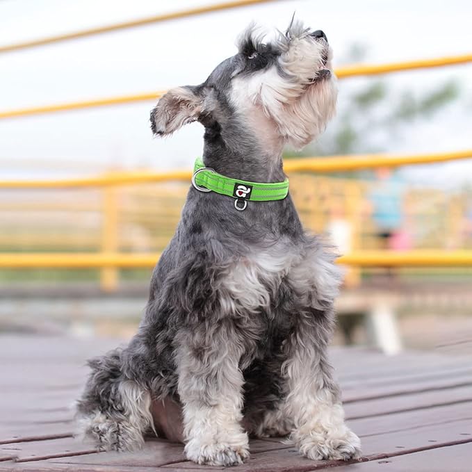 azuza Reflective Dog Collar, Soft Neoprene Padded Pet Collar with ID Tag Ring, Adjustable for Small Dogs,Green,S