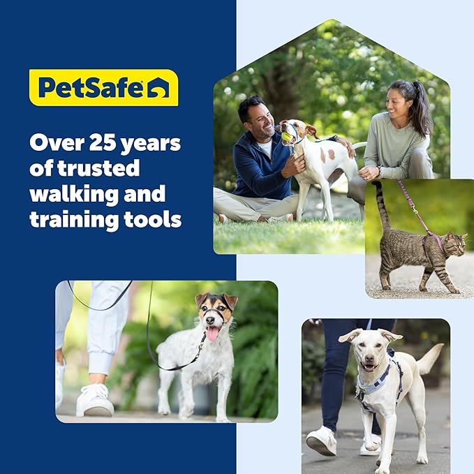 PetSafe Gentle Leader Headcollar - No-Pull Dog Collar for Better Walks - Adjustable for Snout-Specific Fit - Comfortable Head Harness - Large - Silver