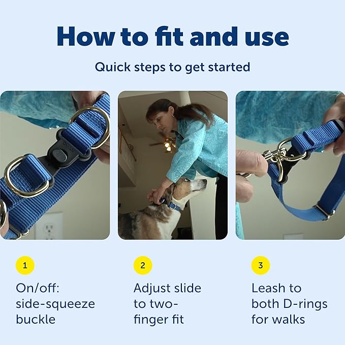 PetSafe KeepSafe Collar for Dogs - Protects Against Collar Accidents - Long Lasting - Durable - Adjustable - Breakaway - Outdoor-Safe - Medium - 1 In. Wide - Blue