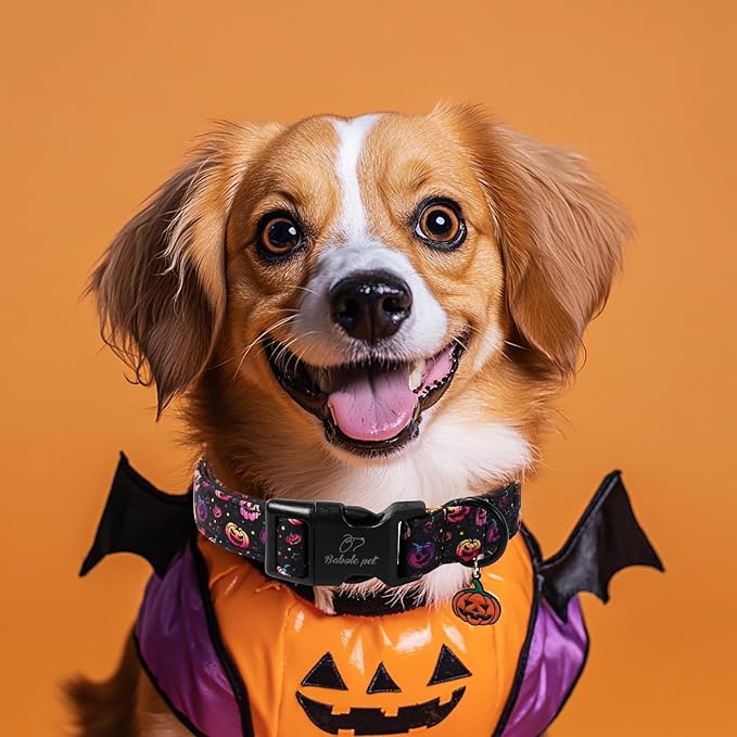 Halloween Dog Collar Spooky Fun Pumpkin Puppy Collar - Light Comfortable Adjustable Pet Collars for Small Medium Large Girl Boy Dogs XL