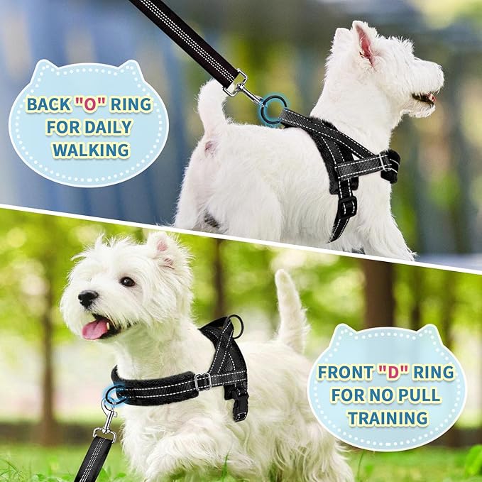SlowTon No Pull Small Dog Harness and Leash Set, Puppy Soft Vest Harness Neck & Chest Adjustable, Reflective Lightweight & Anti-Twist Pet Lead Combo for Small Medium Dogs (Black, M)