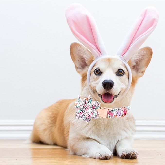 Lionheart glory Easter Day Dog Collar with Flower Dog Collar for Medium Dogs, Rabbits Colorful Dogs Collars Flowers Spring Collars Puppy Flowers