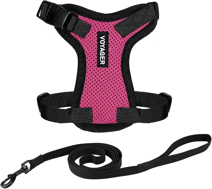 Voyager Escape-Proof Step-in Lock Cat Harness & 5ft Neoprene-Handle Leash Set All-Weather Mesh with Reflective Stitching for Small to Large Cats by Best Pet Supplies, Fuchsia/Black Trim, S