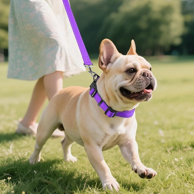 Joytale Reflective Dog Collar, Soft Neoprene Padded, Metal D-Ring, Nylon Pet Collar Adjustable for Medium Dogs, Purple, M
