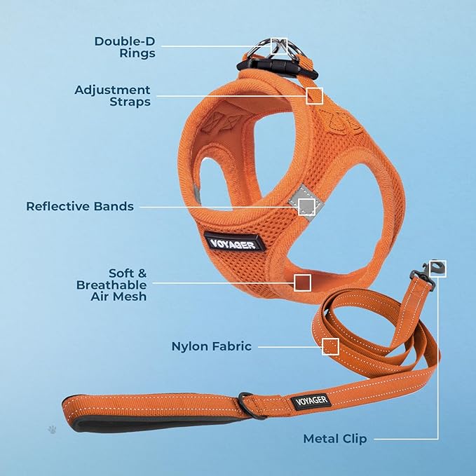 Best Pet Supplies Voyager Step-in Air All Weather Mesh Harness and Reflective Dog 5 ft Leash Combo with Neoprene Handle, for Small, Medium and Large Breed Puppies - Harness Leash Set (Orange), M