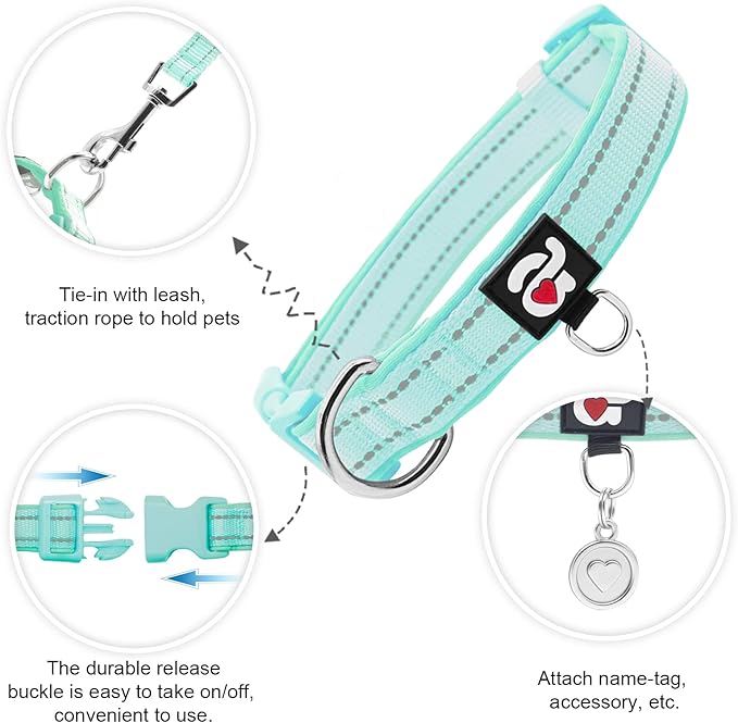azuza Reflective Dog Collar,Soft Neoprene Padded Pet Collar with ID Tag Ring,Adjustable for Puppy and Small Dogs,Teal,XS
