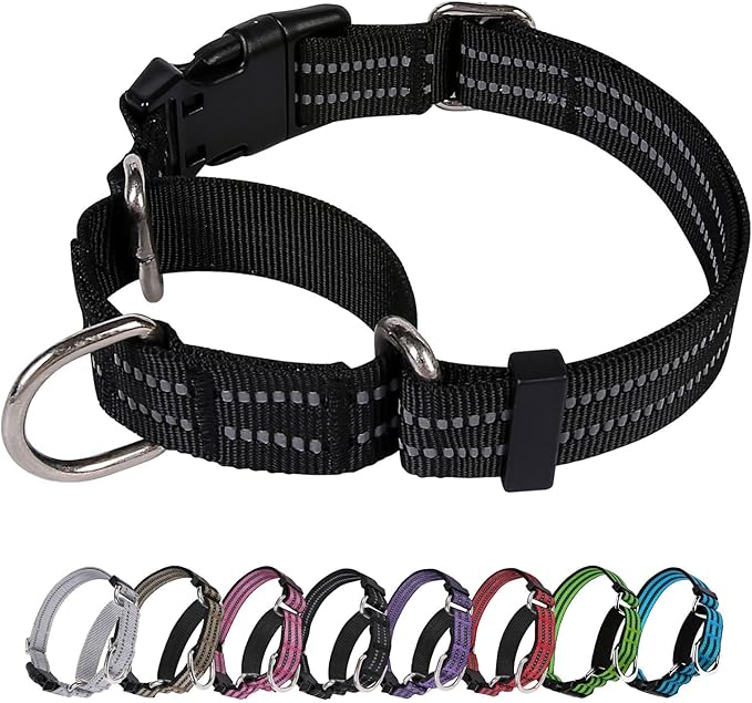 Martingale Dog Collar, Adjustable Nylon Reflective Collar with Buckle No Pull Dog Collar for Small Medium Large Dogs (Black M)