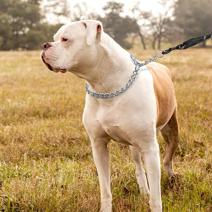TagME Chain Choke Collar for Dogs, Adjustable Weather Proof Necklace for Large Dogs, Alloy Steel Pet Training Collar