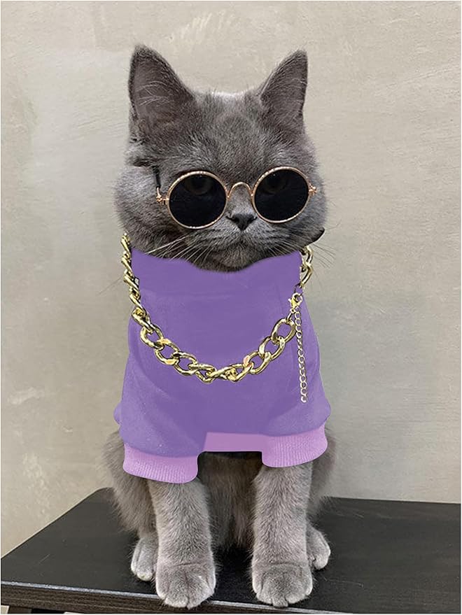 QWINEE 3Pcs Dog Hoodie Cat Apparel Dog Custume Set with Necklace and Sunglasses Pet Clothes for Puppy Small Medium Dogs Cats Mauve Purple XX-Small