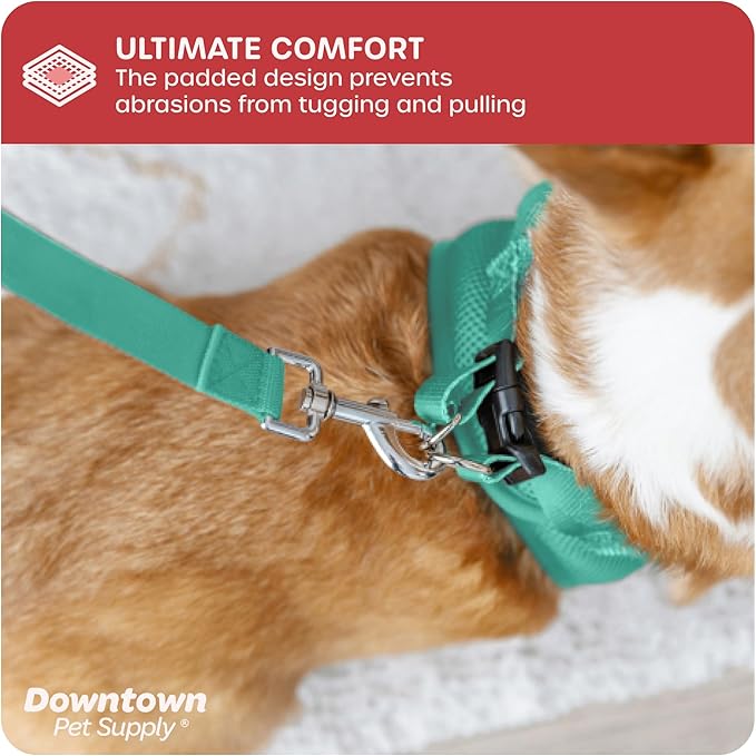 Downtown Pet Supply Step in Dog Harness No Pull, X-Large, Bermuda Blue - Adjustable Harness with Padded Mesh Fabric and Reflective Trim - Buckle Strap Harness for Dogs