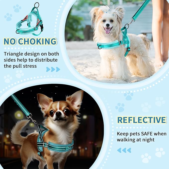 SlowTon No Pull Small Dog Harness and Leash Set, Puppy Soft Vest Harness Neck & Chest Adjustable, Reflective Lightweight Harness & Anti-Twist Pet Lead Combo for Small Medium Dogs(BL-Front Clip,XXS)