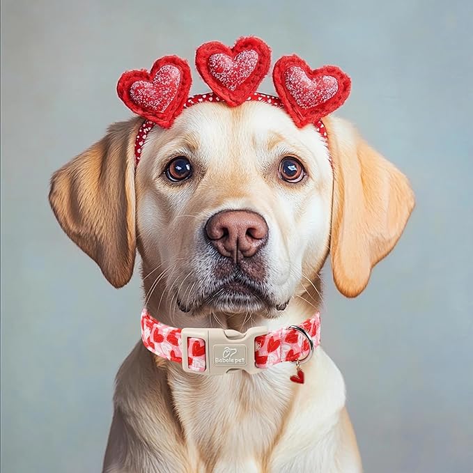 Valentines Dog Collar for Large Dogs - Cute Pink Girl Dog Collar, Doodle Heart Pattern, Adjustable Valentine Dog Collars with Red Heart Charm L