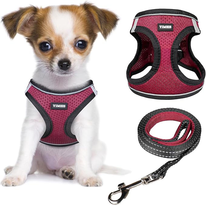 YIMEIS Dog Harness and Leash Set, No Pull Soft Mesh Pet Harness, Reflective Adjustable Puppy Vest for Small Medium Large Dogs, Cats (Grape Purple, Small (Pack of 1)