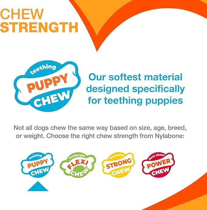 Nylabone Double Action Bone Puppy Chew Toy, Rubber Teething Toys for Puppies, Puppy Chew Bone, Bacon Flavor, Small Dogs - Up to 25 lbs., 1 Count
