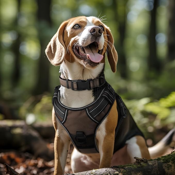 Joytale Reflective Dog Collar, Soft Neoprene Padded, Metal D-Ring, Nylon Pet Collar Adjustable for Puppy and Small Dogs, Brown, XSmall