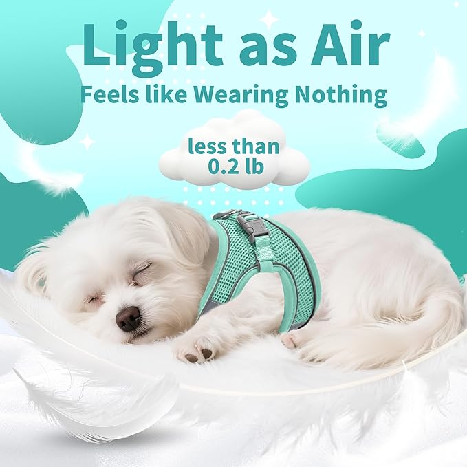 AIITLE Easy Walk Dog Harness and Leash Set - Pet Supply No Pull, Step in Adjustable Dog Harness with Padded Vest, No Choke Over, Easy to Put on Medium Dogs Pure Turquoise L