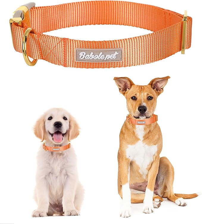 Nylon Dog Collar - Adjustable Orange Soft Webbing Dog Collars for Small Medium Large Dogs Boy Girl Puppy Collar with Safety Metal Buckle L