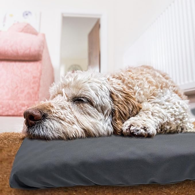 Dog Bed Cover Waterproof Replacement Machine Washable Covers for Dog Bed Heavy Duty Scratch Resistant Mattress Protector Pet Bed 36x27 Inch Grey Cover Only