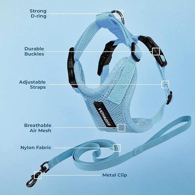 Voyager Escape-Proof Step-in Lock Cat Harness & 5ft Neoprene-Handle Leash Set All-Weather Mesh with Reflective Stitching for Small to Large Cats by Best Pet Supplies, Baby Blue, XXS