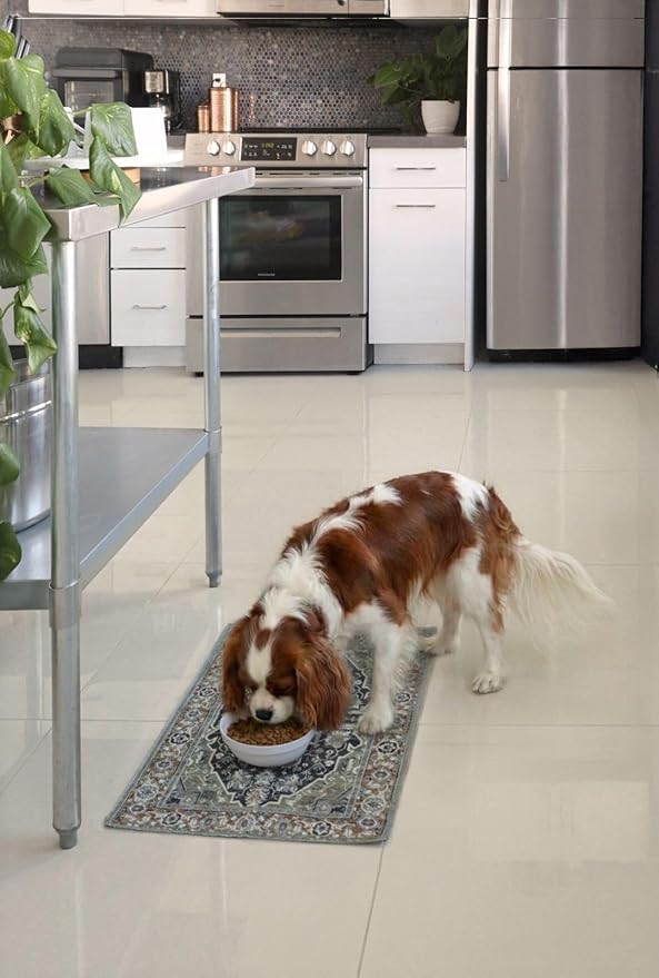 LOVEWAG Waterproof 2-Pack Pet Feeding Mats - 16" x 24" Premium Cat & Dog Food Mat - Non-Slip, Machine Washable Food Mat Protects Floors & Contains Water Bowl Spills - Place Mats (Marmalade Sunshine)