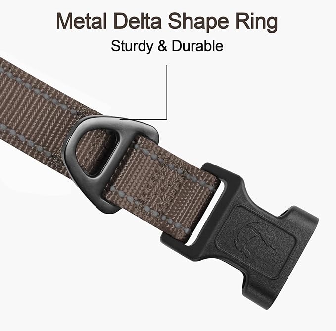 Joytale Reflective Dog Collar, Soft Neoprene Padded, Metal D-Ring, Nylon Pet Collar Adjustable for Large Dogs, Brown, Large
