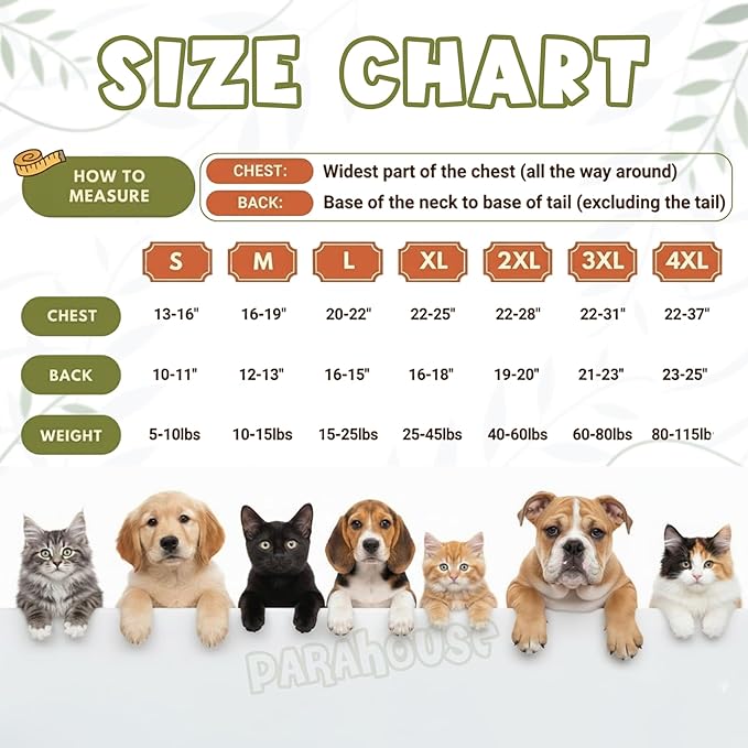 Personalized Dog Hoodie, Custom Embroidered Name Pet Hoodie, Warm Winter Outfit for Dogs, Pet Clothes, Gift for Dog Lovers 8