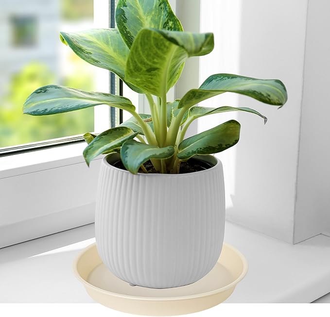 6 Pack of 8 inch Plant Saucer Blue, Plastic Plant Water Tray 8 inch Round, Flower Plant Saucers for Indoors, Dlant Dishes Saucer for Planter 7"/8" (8", Beige)