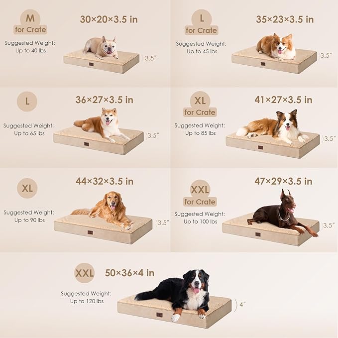 EHEYCIGA Orthopedic Dog Beds for Large Dogs with Removable Washable Cover, Khaki, 36x27