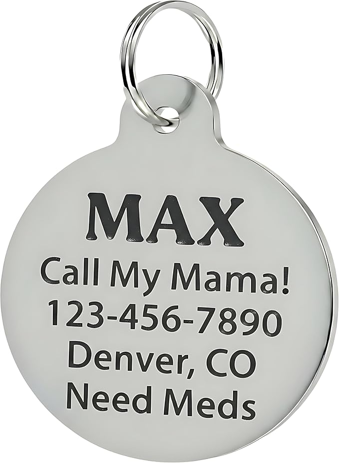 Bad Tags Personalized Dog and Cat ID Tags in 25+ Designs and 2 Sizes - 5 Lines of Custom Engraved Text - Funny Cute Personalized Pet Tags (Invader of Personal Space - Black, Large (1.25 inch))