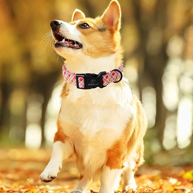 Fall Dog Collar, Fall Orange and Red Plaid Puppy Collar, Adjustable Cotton Holiday Tanksgiving Dog Collars for Small Medium Large Boy&Girl Dogs L