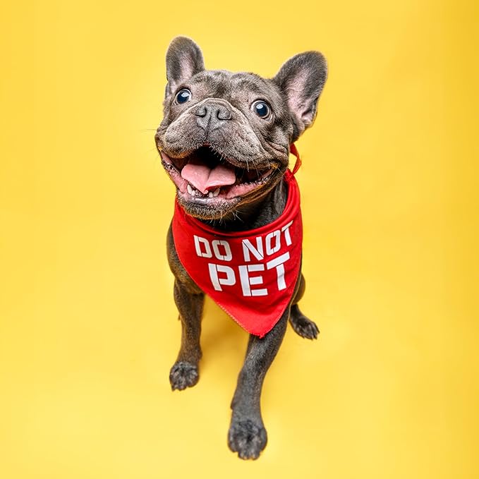 Do Not Pet Dog Bandana (Navy, OS 157)