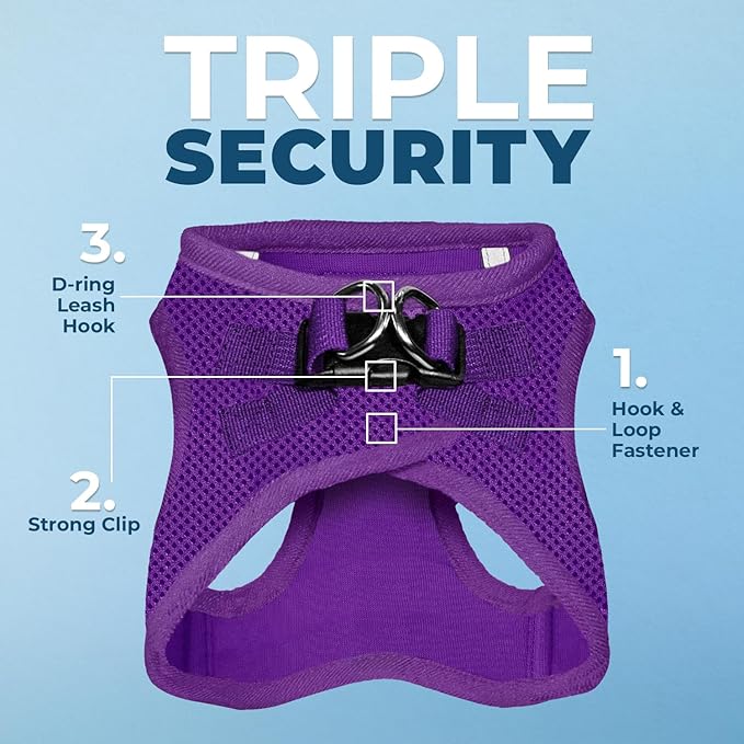 Best Pet Supplies Voyager Step-in Air All Weather Mesh Harness and Reflective Dog 5 ft Leash Combo with Neoprene Handle, for Small, Medium and Large Breed Puppies - Set (Purple), L